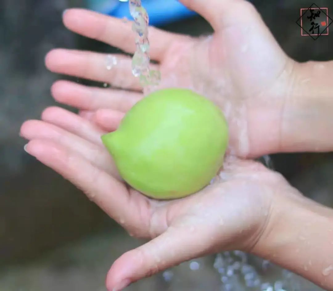 微信圖片_20210823170650.jpg 圖片