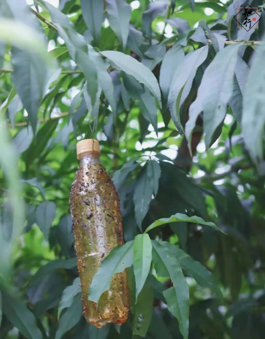 微信圖片_20210823170708.jpg 圖片