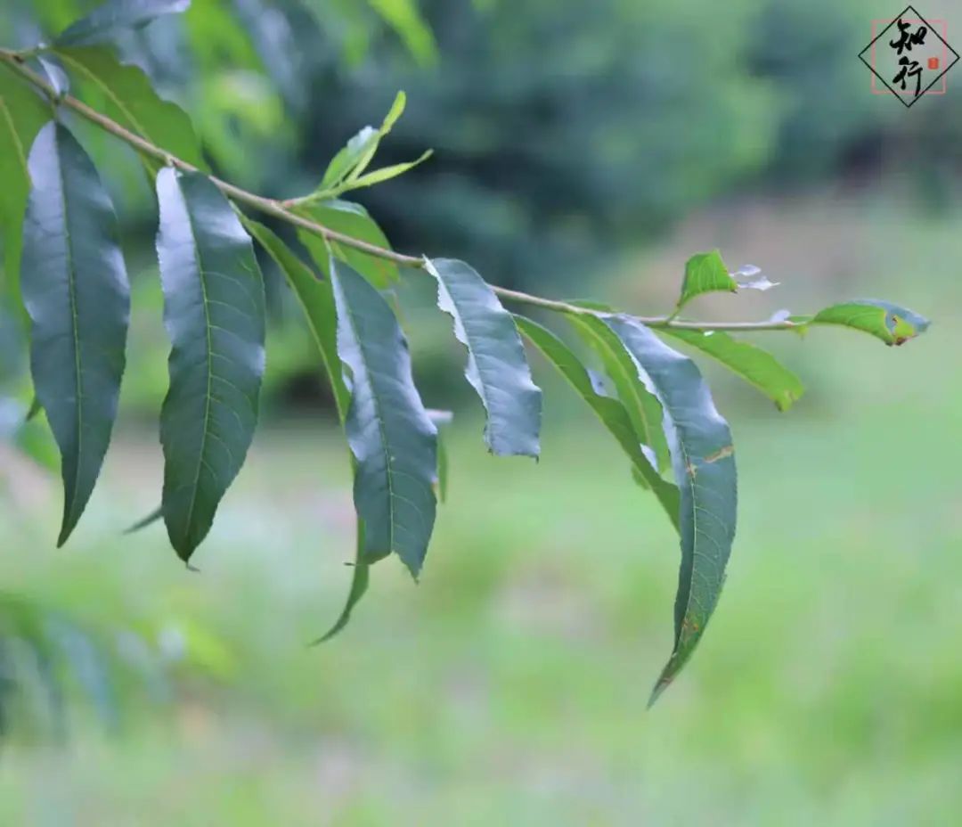 微信圖片_20210823170653.jpg 圖片