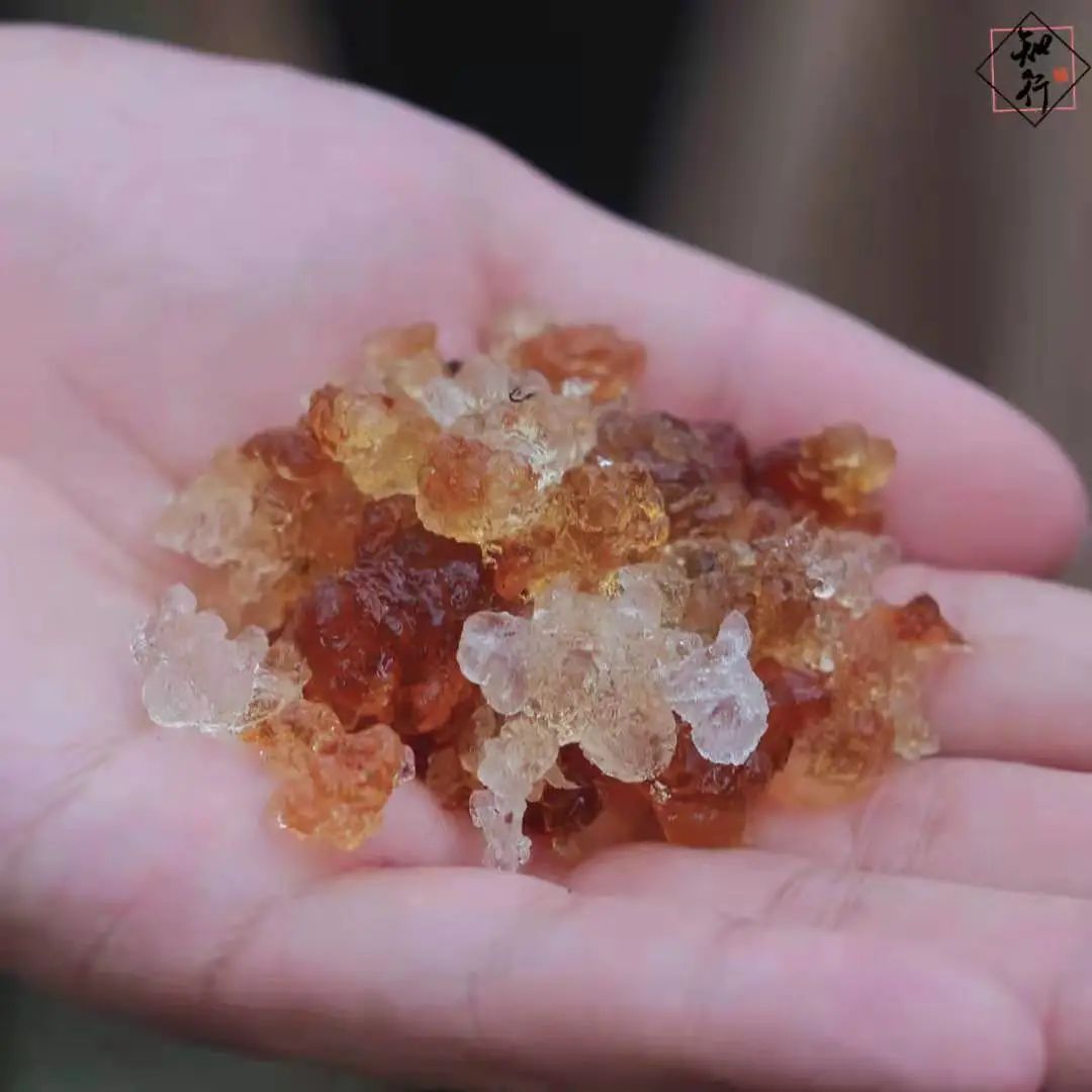 微信圖片_20210823170712.jpg 圖片