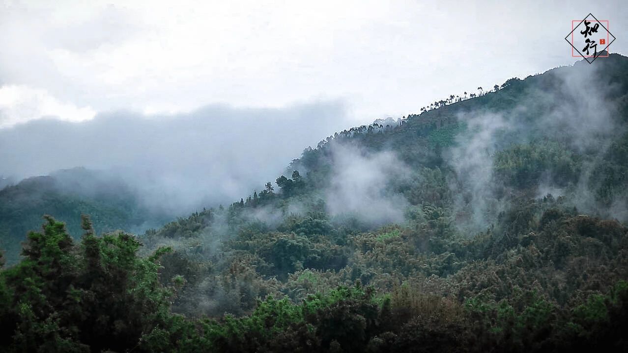 微信圖片_20210823173848.jpg 圖片